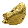 Image 1 : 9.70 Gram Yukon Gold Nugget