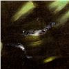Image 4 : PAINTING OF WARRIOR BLOWING CONCH ON VELVET BY DON MCGUIRE.