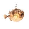 Image 1 : #2359 OCEANIC ARTS "PUFFERFISH LIGHT" SWAG LAMP.