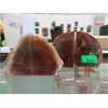 Image 1 : 2 Polished Brazilian Agate Bookend Sets 