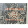 Image 2 : Vintage Loggers & Old Growth Forest Photo 
