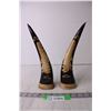 Image 1 : (2) Souvenir Scrimshaw Horns