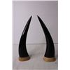 Image 4 : (2) Souvenir Scrimshaw Horns