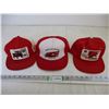 Image 1 : (3)International Harvester Trucker Hats