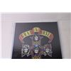 Image 4 : Guns n Roses Poster - 12" x 18"