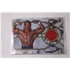 Image 2 : WWE Legends Shirt Relic Trading Card - Lex Luger