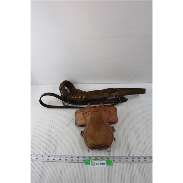 Miniature Saddle, Calf Halter and Lead