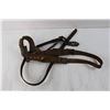 Image 5 : Miniature Saddle, Calf Halter and Lead