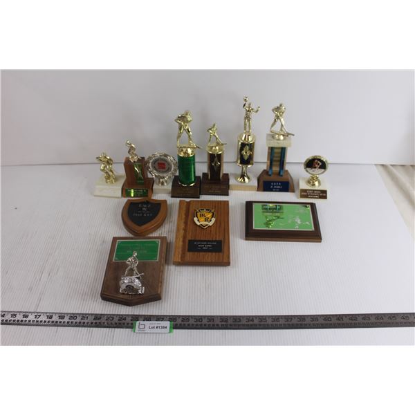 Lot of Trophies and Plaques