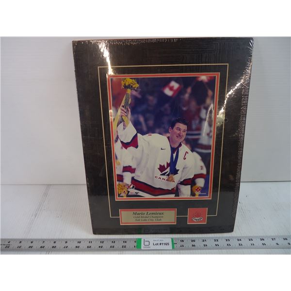 Mario Lemieux-Gold Medal Champion Picture