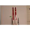 Image 2 : *Trak Cross Country Skis & Poles (77")