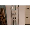 Image 3 : *Pelton Cross Country Skis W/Poles (83")