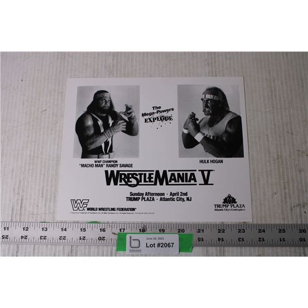 WWF Photo - Randy Savage, Hulk Hogan, 8" x 10"