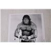 Image 2 : WWF Ultimate Warrior Photo - 8" x 10"