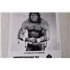 Image 3 : WWF Ultimate Warrior Photo - 8" x 10"