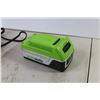 Image 3 : Green Works Battery & Charger