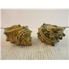 Image 2 : Sea Shell Salt & Pepper Shakers