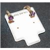 BZ511-100 SILVER GENUINE GEMSTONES EARRINGS