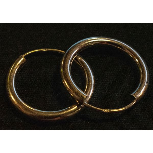 BZ511-60 SILVER EARRINGS