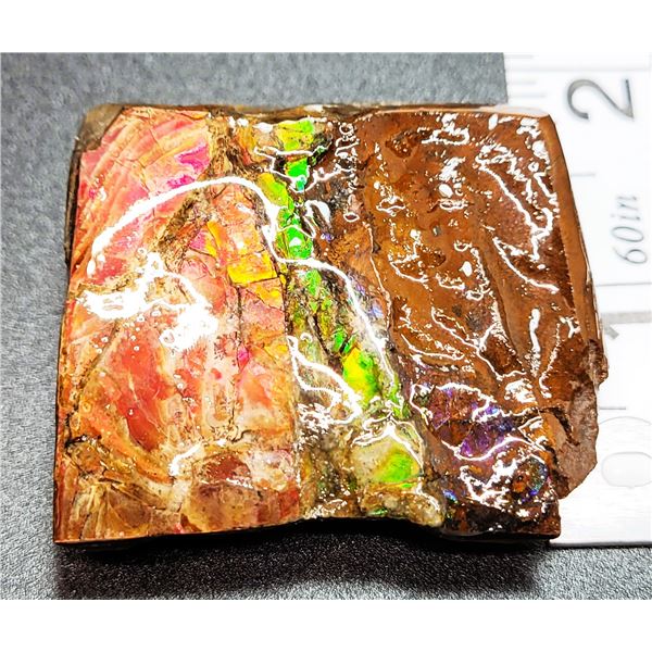 NATURAL AMMOLITE TABLE TOP DISPLAY