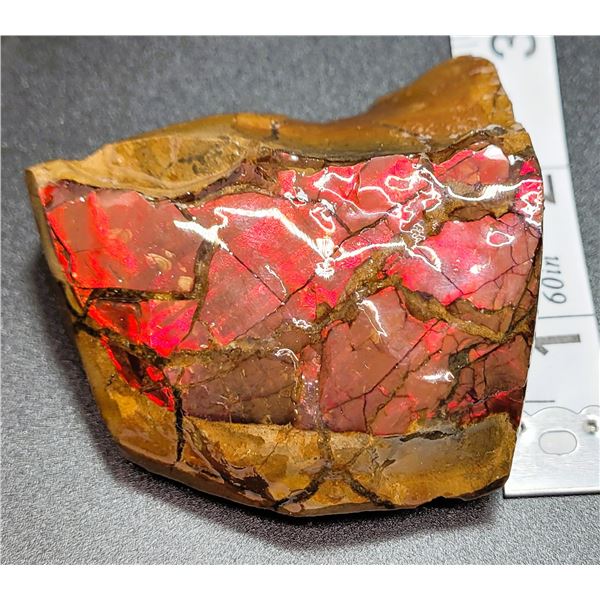 MASSIVE RED FIRE AMMOLITE TABLE TOP