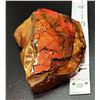 Image 2 : MASSIVE RED FIRE AMMOLITE TABLE TOP