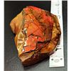 Image 2 : MASSIVE RED FIRE AMMOLITE TABLE TOP