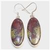 Image 1 : S346-136 SILVER AGATE(23.4CT) EARRINGS