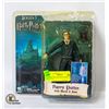 Image 1 : HARRY POTTER COLLECTOR FIGURE IN CASE