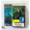 HARRY POTTER COLLECTOR FIGURE IN CASE