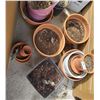 Image 3 : Assorted Terracotta Planters With Contents