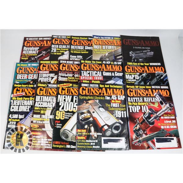 15 GUNS AND AMMO MAGAZINES