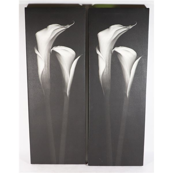 TWO BLACK AND WHITE FLOWER THEME ART ON CANVAS