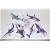 Image 1 : NEW SHARK THEME BATHTUB NON SLIP STICKERS