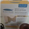 Image 5 : Memory Foam Leg Spacer Pillow (NIB)and Garden Ornaments