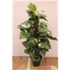 Image 3 : *Artificial Plant - 50" with lights