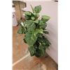 Image 4 : *Artificial Plant - 50" with lights