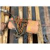 Image 1 : Elec. 1 ton Chain hoist (working)