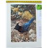 Image 2 : 1121/1250 "Stellar's Jay" Carl Brenders Print