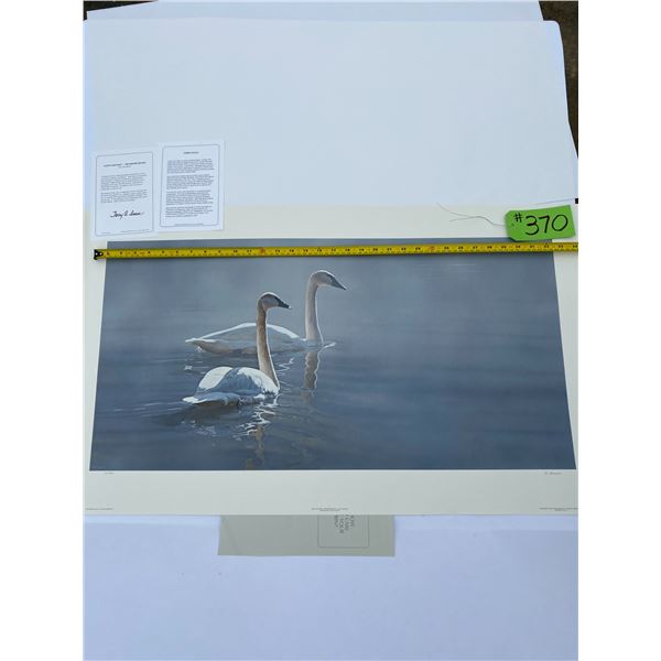 120/950 "Light and Mist - Trumpeter Swans" Terry Isaac Print