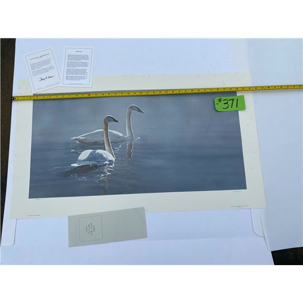 779/950 "Light and Mist - Trumpeter Swans" Terry Isaac Print