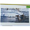 Image 2 : 119/1500 "Winter's Thaw - Canada Geese" Terry Isaac Print
