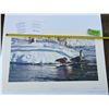 Image 1 : 118/1500 "Winter's Thaw - Canada Geese" Terry Isaac Print