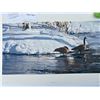 Image 2 : 118/1500 "Winter's Thaw - Canada Geese" Terry Isaac Print