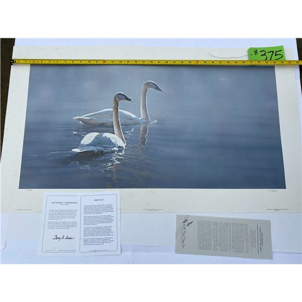 778/950 "Light and Mist - Trumpeter Swans" Terry Isaac Print