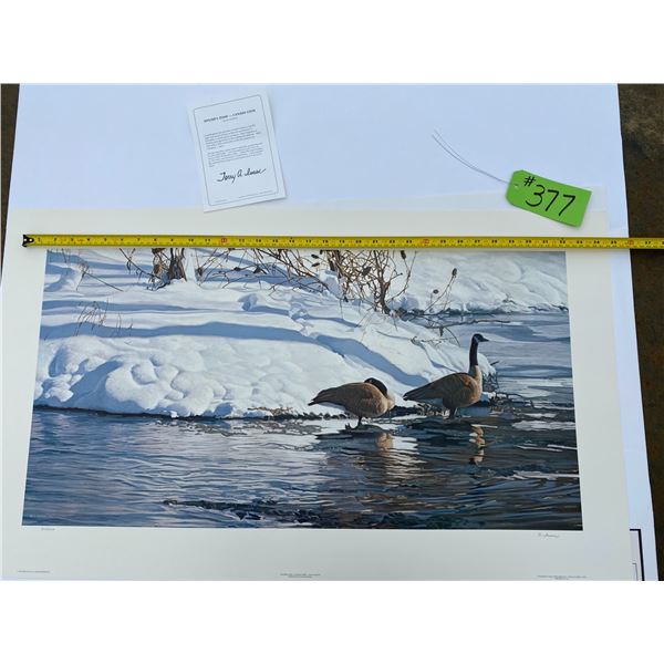 845/1500 "Winter's Thaw - Canada Geese" Terry Isaac Print