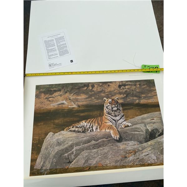 1422/1500 "Quizzical Quadruped" Anthony Gibbs Print