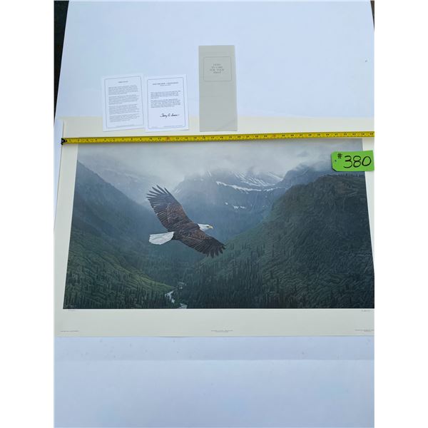 205/950 "Into the Mist - Bald Eagle" Terry Isaac Print
