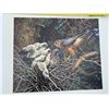 Image 2 : 681/1250 "Merlins at the Nest" Carl Brenders Print