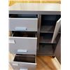 Image 2 : Metal Office Organizer on Wheels